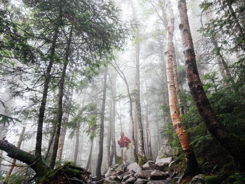 非遗游：从入门到精通