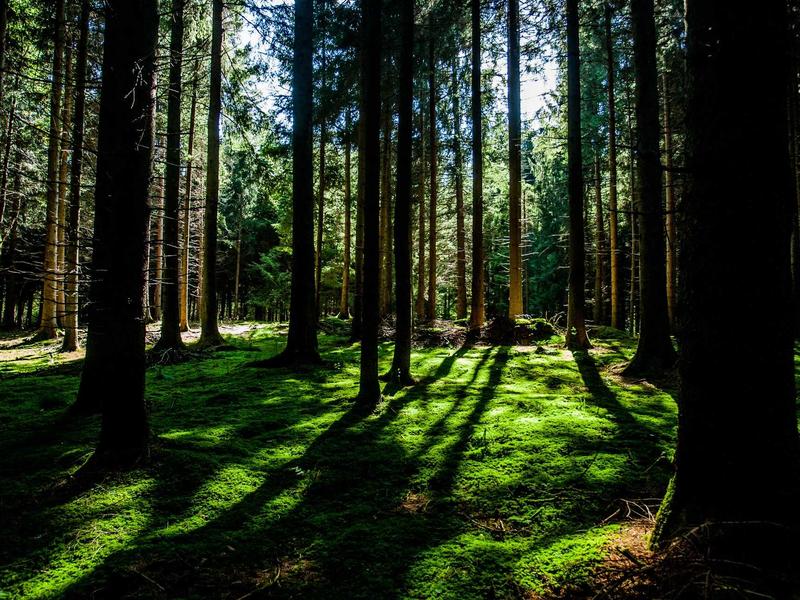 秋季沙漠越野：贵州六盘水梅花山 沙漠自驾充气千斤顶