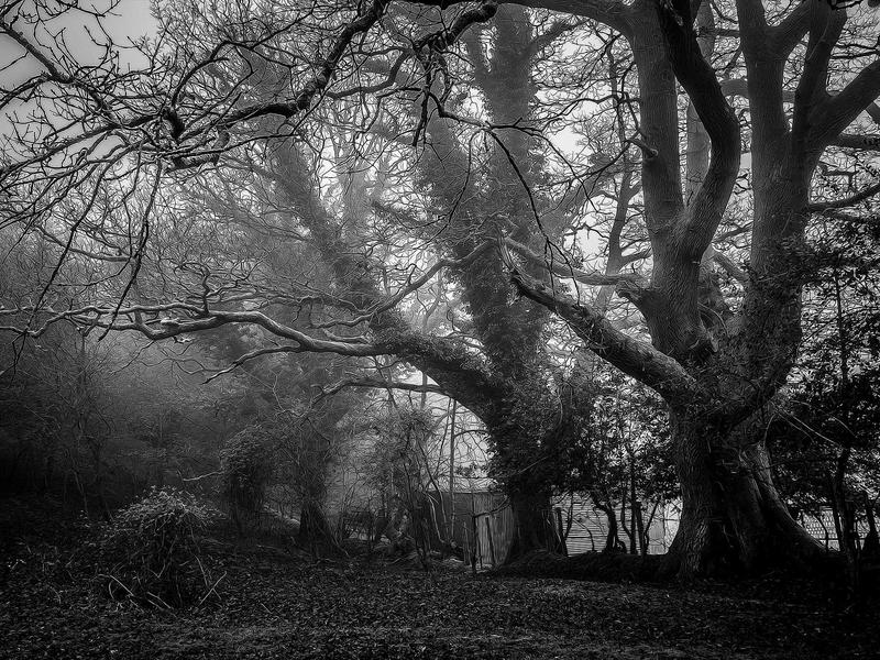 清明踏青攻略察隅自驾推荐超详细