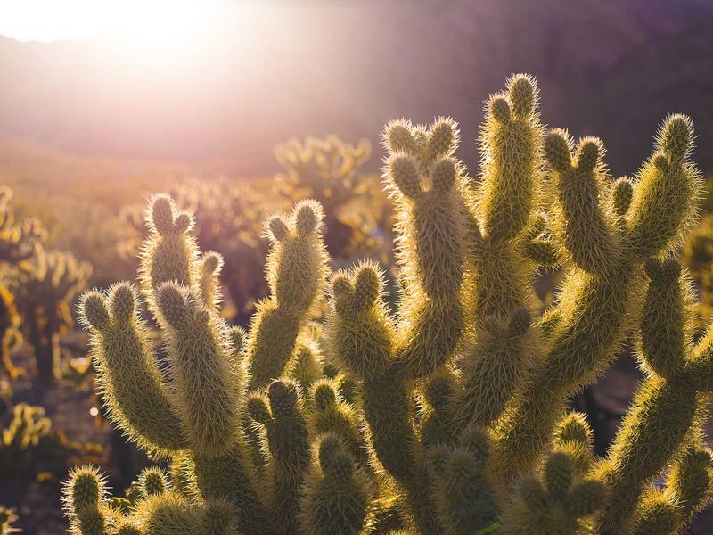自驾游去重庆武隆天生三桥旅游：香妃墓与自