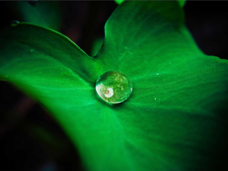 旅游如何写攻略安徽万佛湖自驾游脱困板塑料