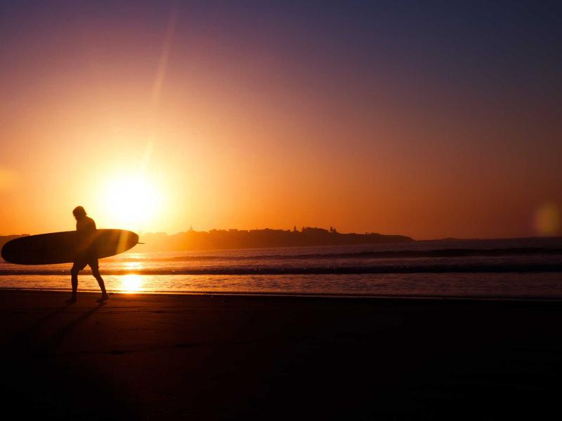 自驾游哪里可以骑骆驼新手自驾游推荐路线推