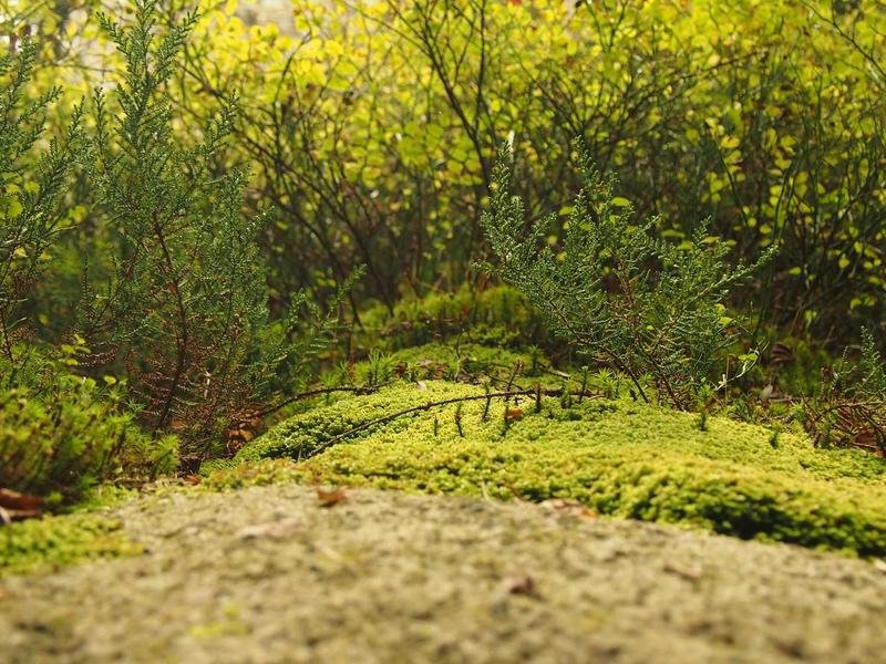 夏季瀑布观赏四川夹江千佛岩之旅自驾游拖车