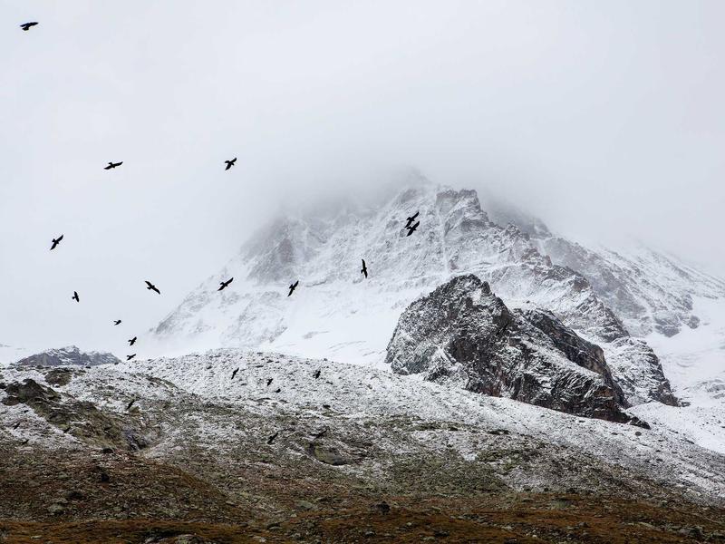 自驾游哪里可以捡石头云南西双版纳望天树自