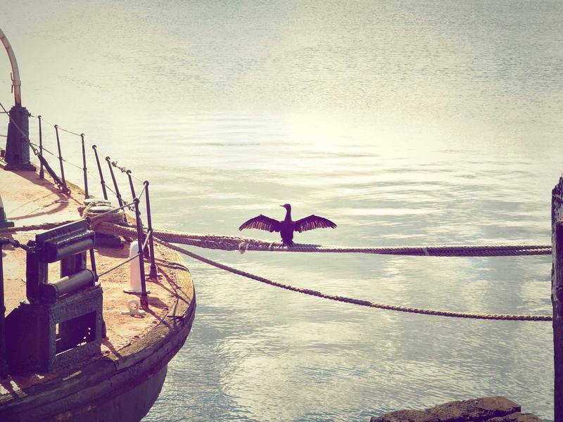 去谷雨采茶必看浙江温州南麂岛自驾游急救包