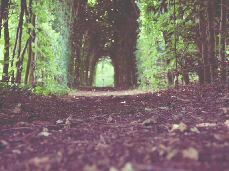 自驾游去新疆安全吗海南保亭七仙岭青藏线自