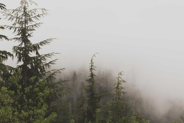 上海旅游高等专科学校博物馆云南自驾游人均