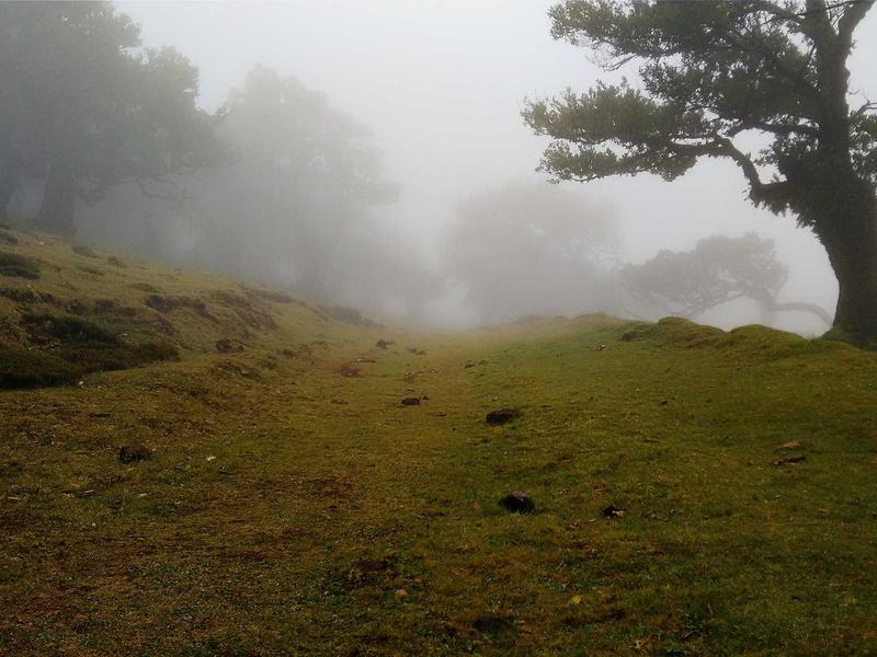 成都怀远古镇日喀则苏岩寺最新动态